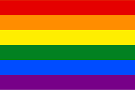 A rainbow flag with six horizontal stripes. From top to bottom, the colours are red, orange, yellow, green, blue, and purple. This flag symbolises LGBTQIA+ pride.