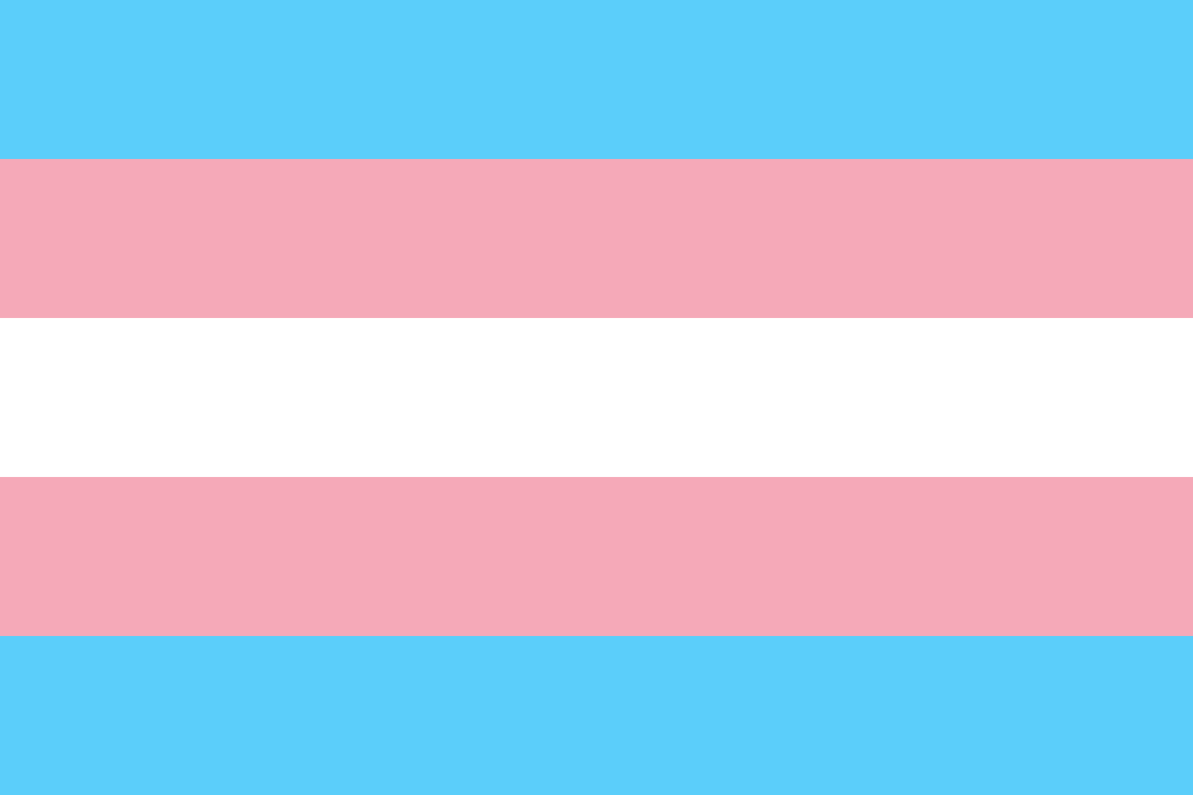 A flag with five horizontal stripes. From top to bottom, the colours are light blue, light pink, white, light pink, and light blue. This flag represents the transgender community.