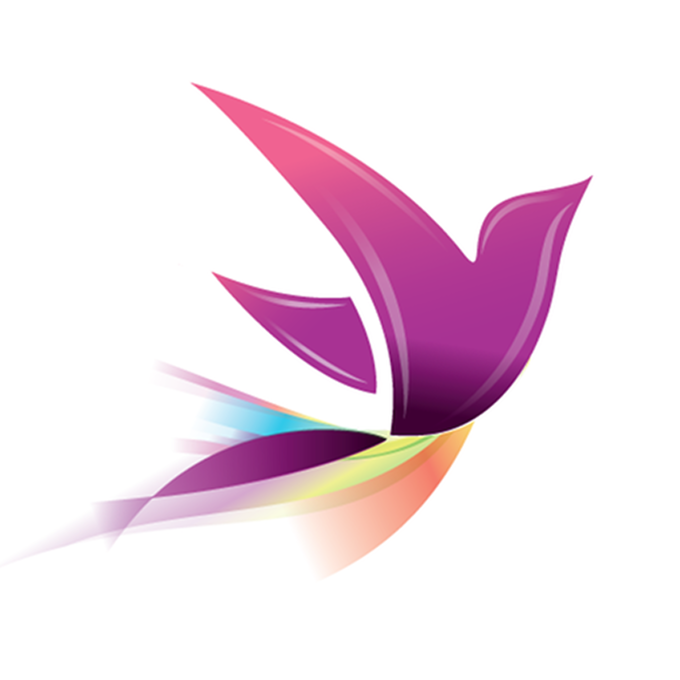 Recovery Record Ed Management